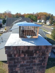 Title: Professional Chimney Sweeping Services